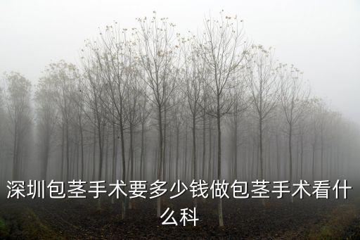 深圳做包莖手術(shù)選靳其雄滿意，深圳割包皮手術(shù)哪好