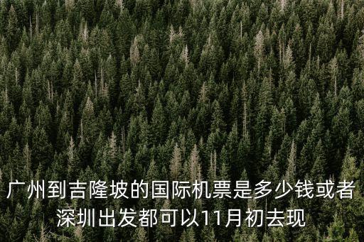 廣州到吉隆坡的國際機票是多少錢或者深圳出發都可以11月初去現