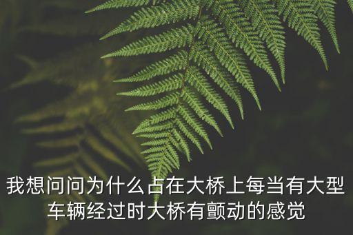 我想問問為什么占在大橋上每當有大型車輛經過時大橋有顫動的感覺