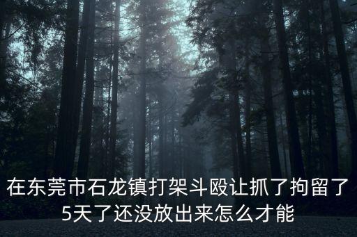 東莞打人處罰新聞，在東莞市石龍鎮打架斗毆讓抓了拘留了5天了還沒放出來怎么才能