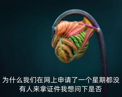 網上申請東莞入戶一周了，為什么我們在網上申請了一個星期都沒有人來拿證件我想問下是否