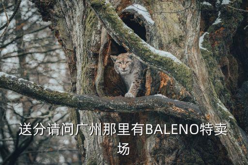 送分請問廣州那里有BALENO特賣場