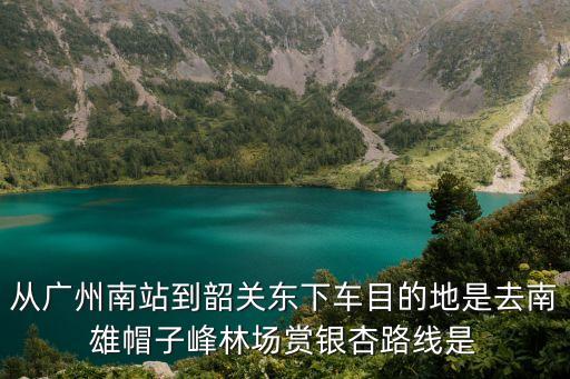 從廣州南站到韶關(guān)東下車目的地是去南雄帽子峰林場賞銀杏路線是