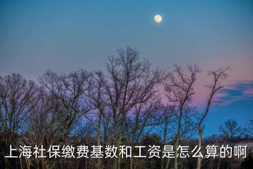 上海社保繳費基數(shù)和工資是怎么算的啊
