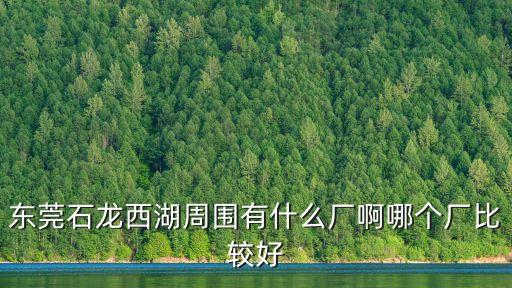 東莞石龍工業區有哪些廠，東莞石龍工業區有哪些大公司