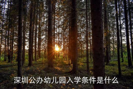 深圳公辦幼兒園入學條件是什么