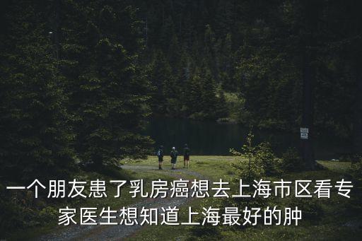 一個(gè)朋友患了乳房癌想去上海市區(qū)看專家醫(yī)生想知道上海最好的腫