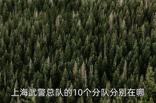 上海市武警總隊一支隊一中隊，上海武警一中隊具體在哪里