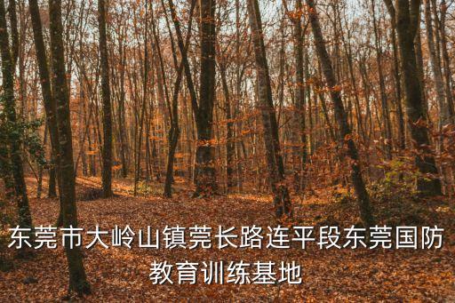 東莞市大嶺山鎮莞長路連平段東莞國防教育訓練基地