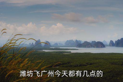濰坊廣州飛機航班，濰坊飛廣州今天都有幾點的