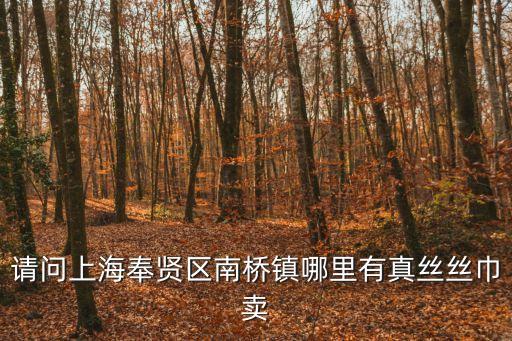 上海市奉賢區南橋鎮金葉時代廣場，上海奉賢南橋哪里有賣CD片的地方
