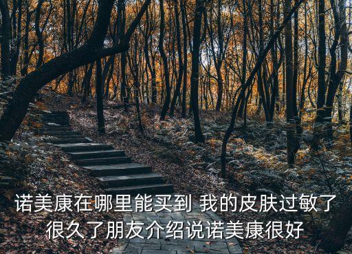 諾美康在哪里能買到 我的皮膚過敏了很久了朋友介紹說諾美康很好