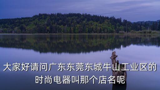 大家好請問廣東東莞東城牛山工業區的時尚電器叫那個店名呢