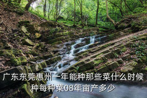 廣東東莞惠州一年能種那些菜什么時候種每種菜08年畝產多少