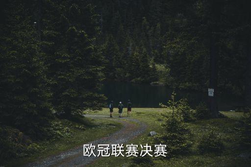 2017歐冠決賽廣州，本人不想在5月29號足球歐冠決賽一個人對著電視喊請問在廣州有什