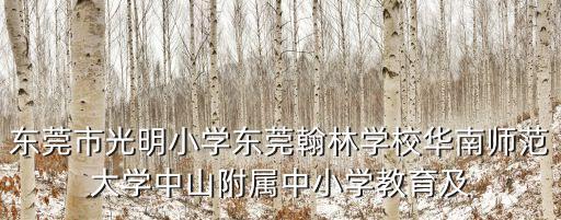 東莞市光明小學東莞翰林學校華南師范大學中山附屬中小學教育及