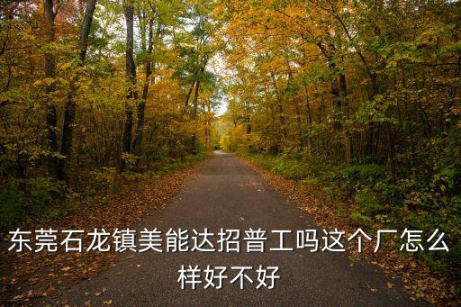 東莞市石龍鎮美能達公司前身是，我想問一下東莞石龍美能達那個廠怎么樣聽說那里進廠比較嚴