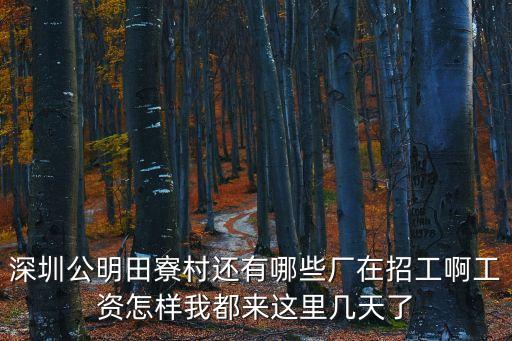 深圳公明田寮村還有哪些廠在招工啊工資怎樣我都來這里幾天了