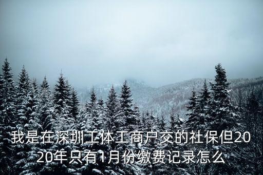 深圳社保只查到一月份，單位說給交養老保險但我從網上查得明細只有一個月的繳費