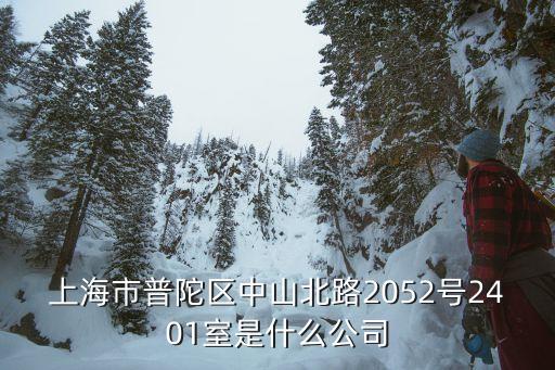 上海市尚海整裝企業簡介，上海市普陀區中山北路2052號2401室是什么公司