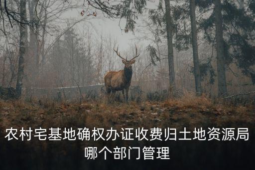 農村宅基地確權辦證收費歸土地資源局哪個部門管理
