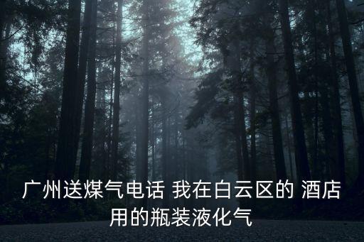 廣州九豐燃氣配送，誰知道廣州九豐燃氣有限公司的地址啊