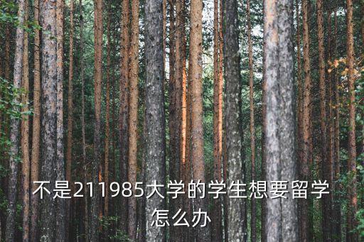 不是211985大學的學生想要留學怎么辦