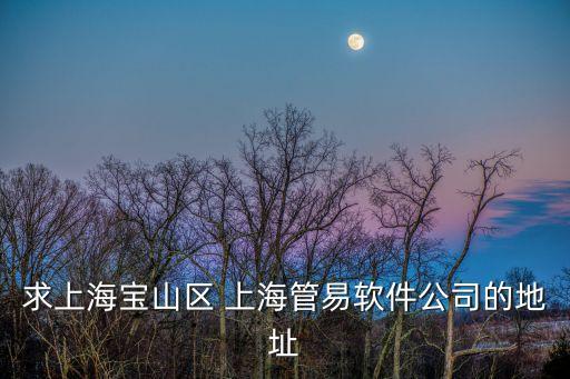 求上海寶山區 上海管易軟件公司的地址