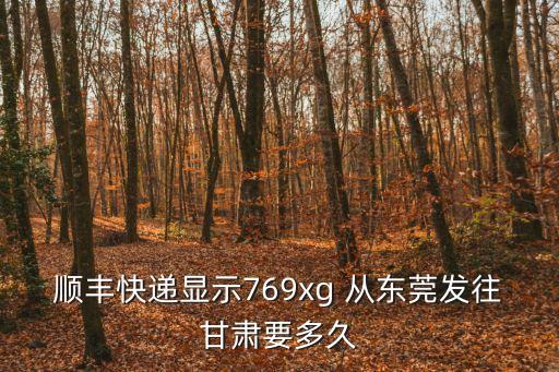 順豐快遞顯示769xg 從東莞發往甘肅要多久