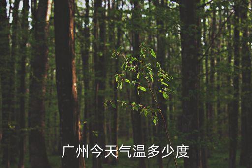 廣州今天氣溫多少度