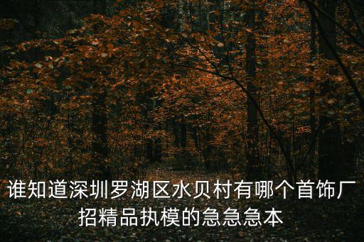 誰知道深圳羅湖區水貝村有哪個首飾廠招精品執模的急急急本