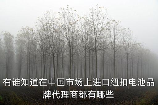 深圳紐扣超級電容品牌，超級電容器那個(gè)牌子的比較好