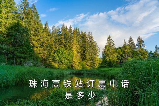 珠 海 高 鐵 站 訂 票 電 話 是 多 少