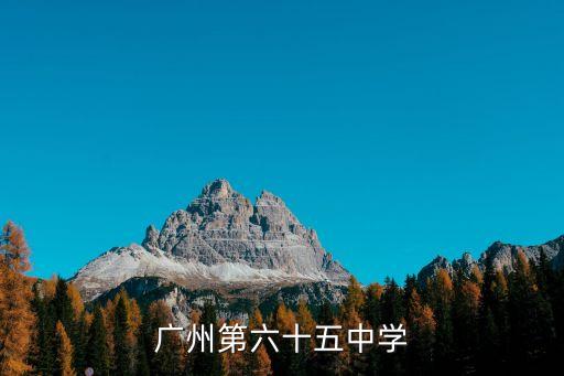 廣州六十五高中，廣州第六十五中學