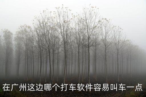 在廣州這邊哪個打車軟件容易叫車一點
