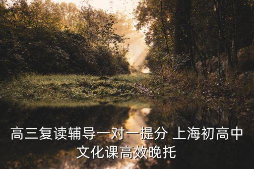 高三復讀輔導一對一提分 上海初高中文化課高效晚托