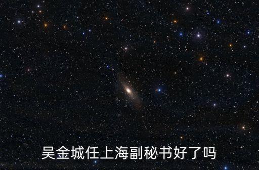 2009年誰是上海市經信委主任，2009上海重要新聞或大事不少于10件