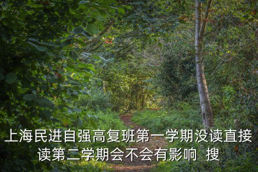 上海市2019學年第二學期效力，上海民進自強高復班第一學期沒讀直接讀第二學期會不會有影響  搜