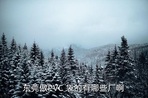 東莞富宏pvc生產(chǎn)廠家，東莞做PVC 袋的有哪些廠啊