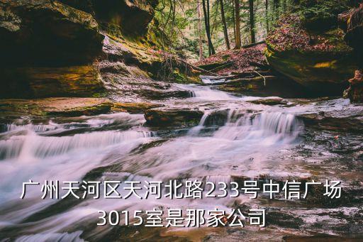 廣州天河區天河北路233號中信廣場3015室是那家公司