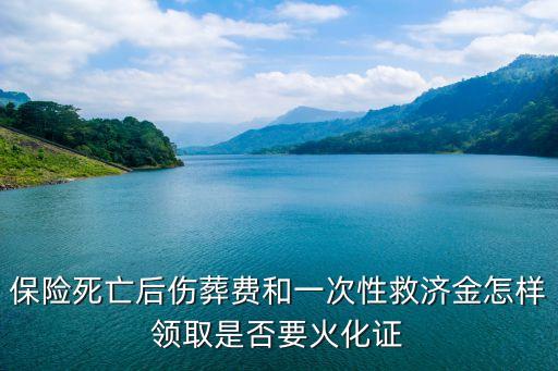 上海市火化證有統一嗎，我父親在上海病故了不在上海火化回原籍可以開死亡證明嗎