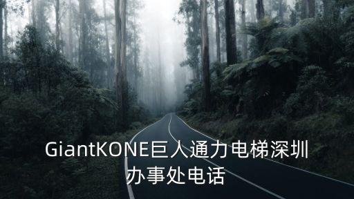 GiantKONE巨人通力電梯深圳辦事處電話