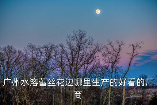 廣州水溶蕾絲花邊哪里生產的好看的廠商