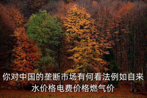 你對中國的壟斷市場有何看法例如自來水價格電費價格燃氣價