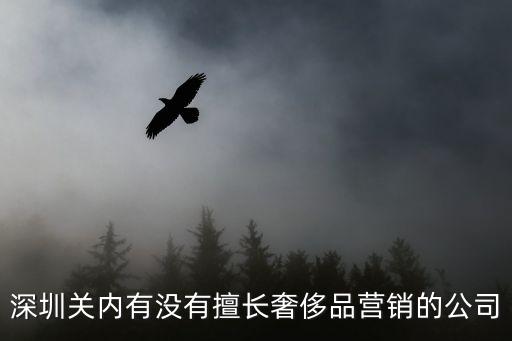 深圳關內有沒有擅長奢侈品營銷的公司