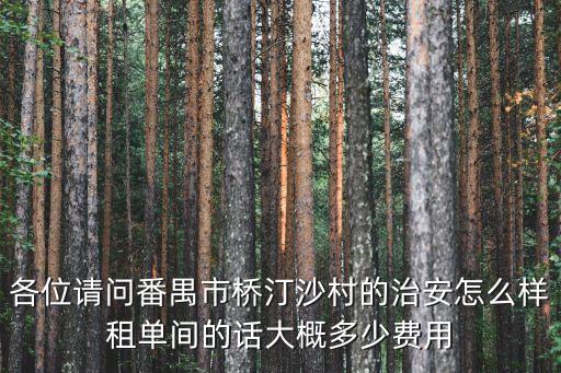 各位請問番禺市橋汀沙村的治安怎么樣租單間的話大概多少費用