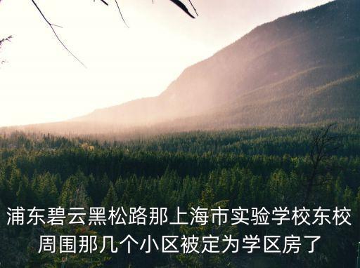 浦東碧云黑松路那上海市實驗學校東校周圍那幾個小區被定為學區房了