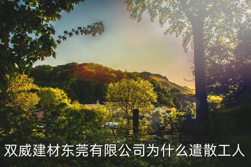 東莞后厚方家莊，雙威建材東莞有限公司為什么遣散工人
