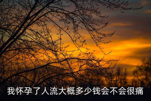 我懷孕了人流大概多少錢會不會很痛