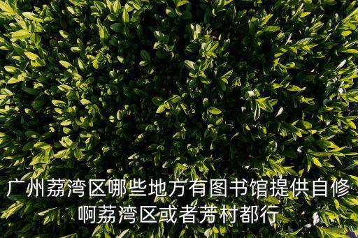 廣州荔灣區哪些地方有圖書館提供自修啊荔灣區或者芳村都行